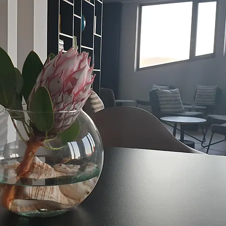 Porto Velho Boutique * Madalena (Azores)