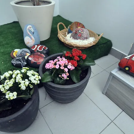 Porto Velho Boutique