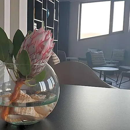 Porto Velho Boutique Hostel Madalena (Azores)