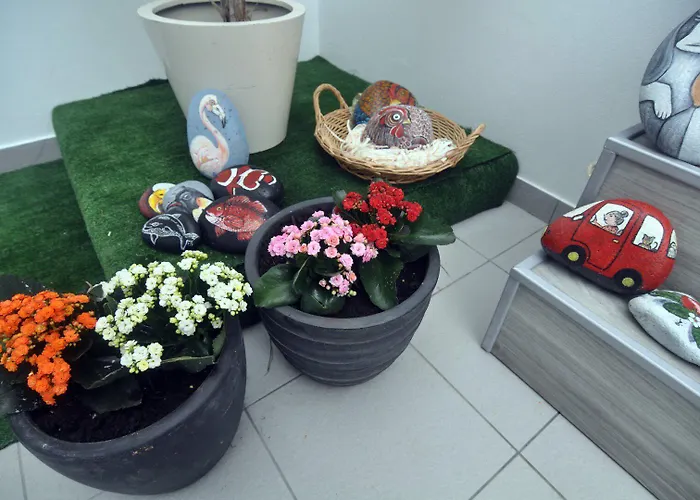 Porto Velho Boutique