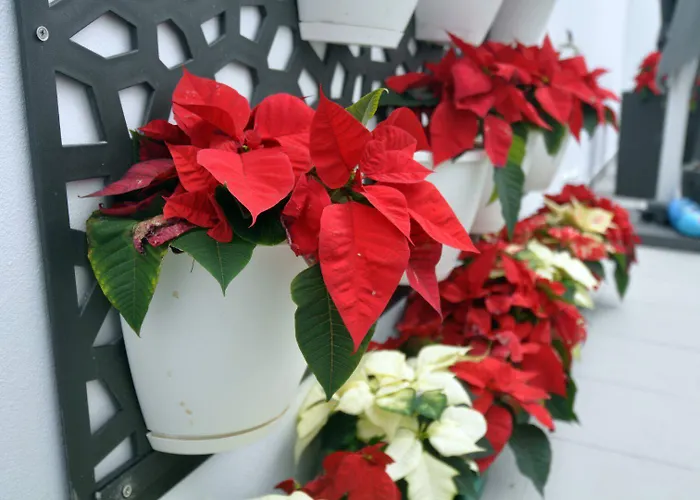 Porto Velho Boutique 호스텔